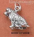 Sterling Silver Three Dimensional Newfoundland Dog Charm