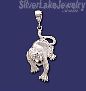 Sterling Silver DC Big Tiger Charm Pendant