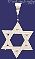 Sterling Silver DC Star of David Charm Pendant